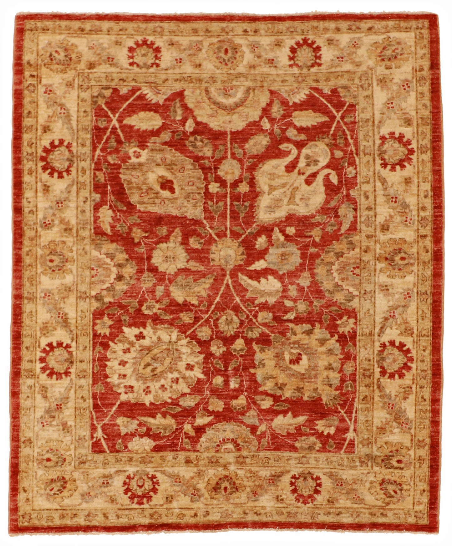5x6 - Agra Fine Wool All Over Rectangle - Hand Knotted Rug