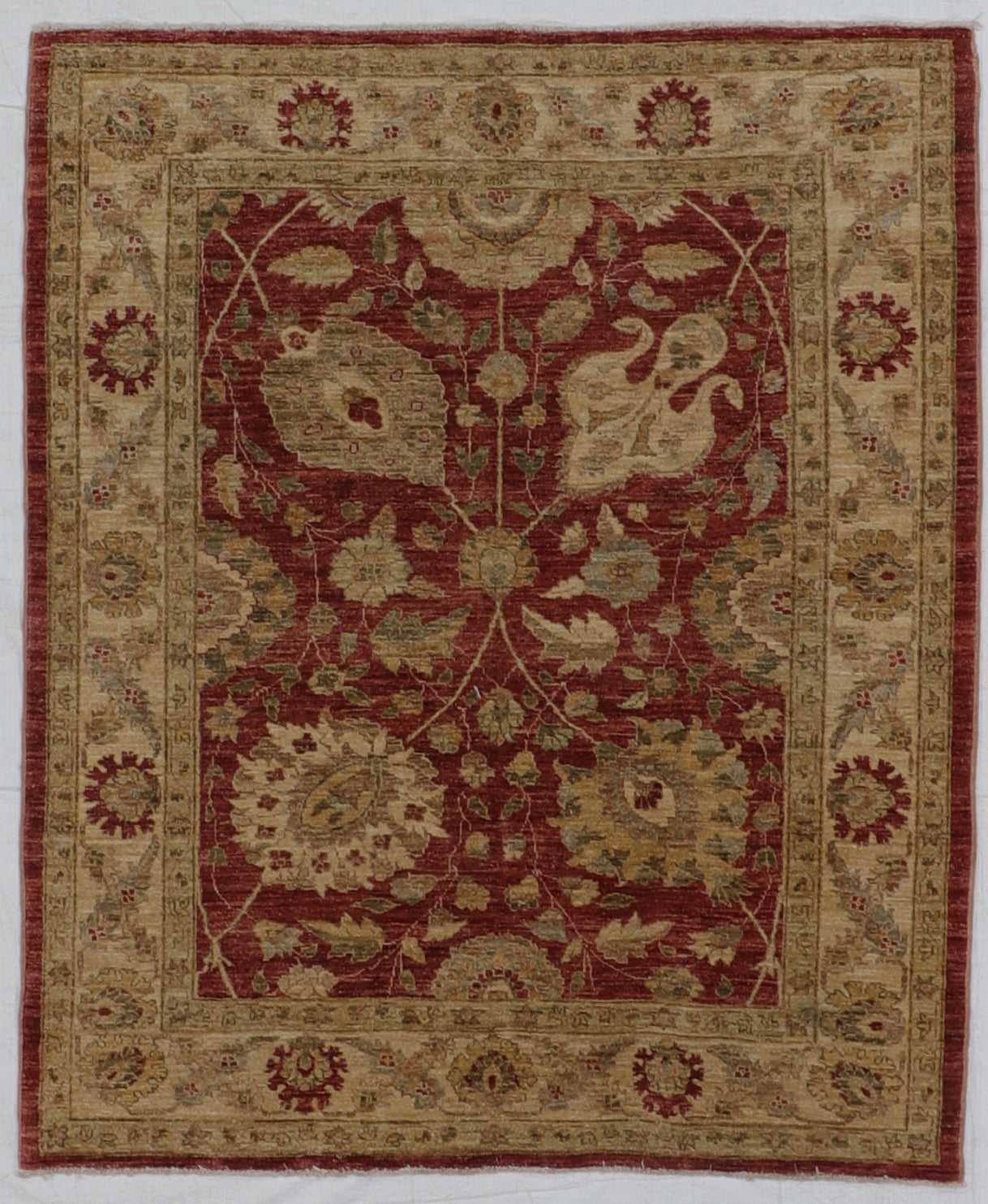 5x6 - Agra Fine Wool All Over Rectangle - Hand Knotted Rug