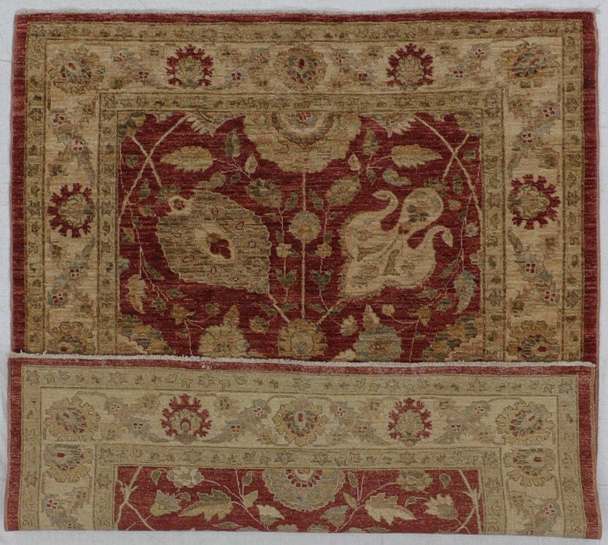 5x6 - Agra Fine Wool All Over Rectangle - Hand Knotted Rug