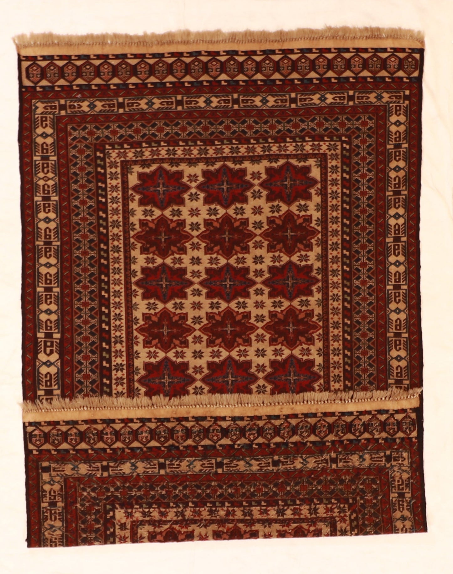 5x7 - Zanjan Wool All Over Rectangle - Hand Knotted Rug