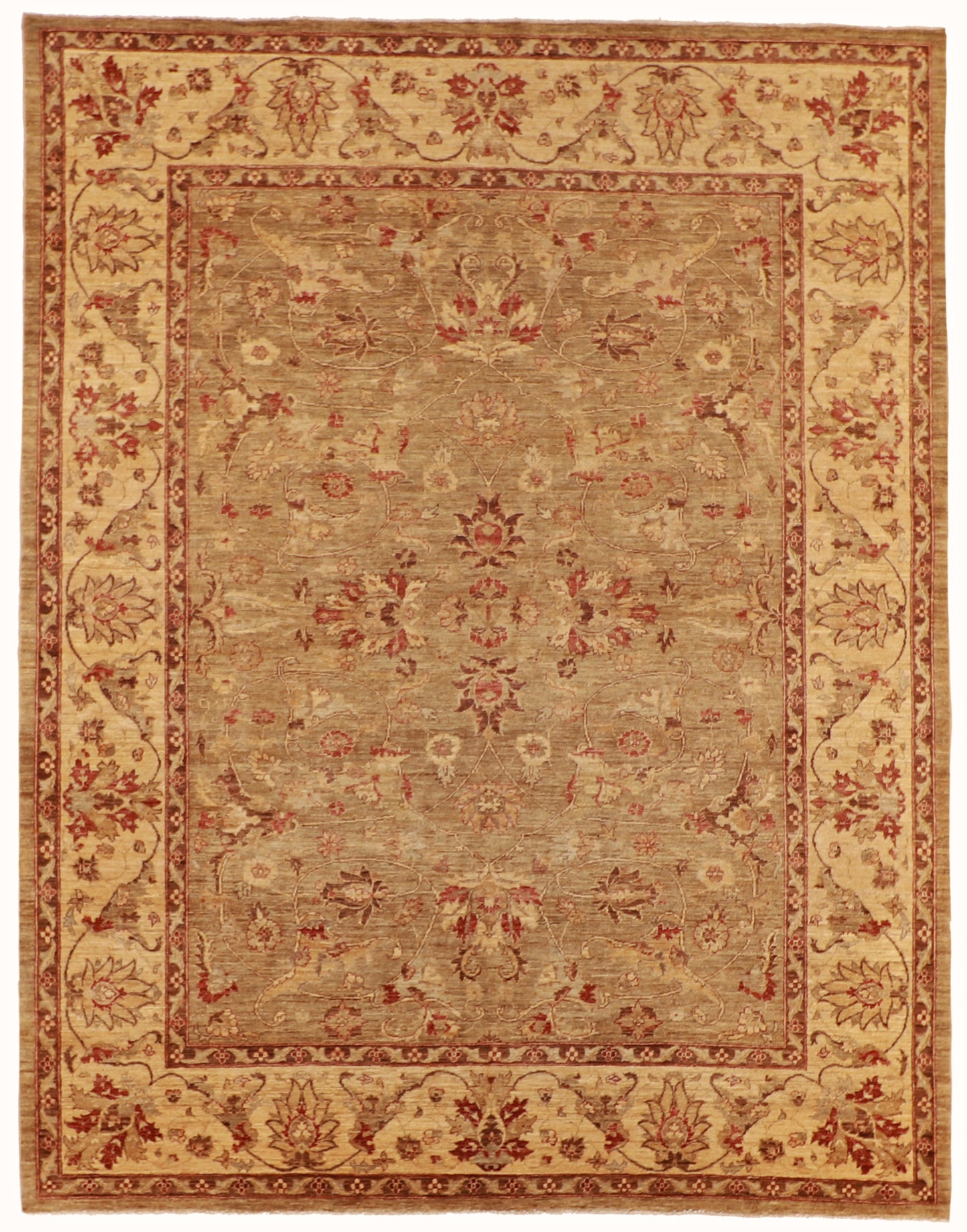 8x10 - Agra Fine Wool All Over Rectangle - Hand Knotted Rug