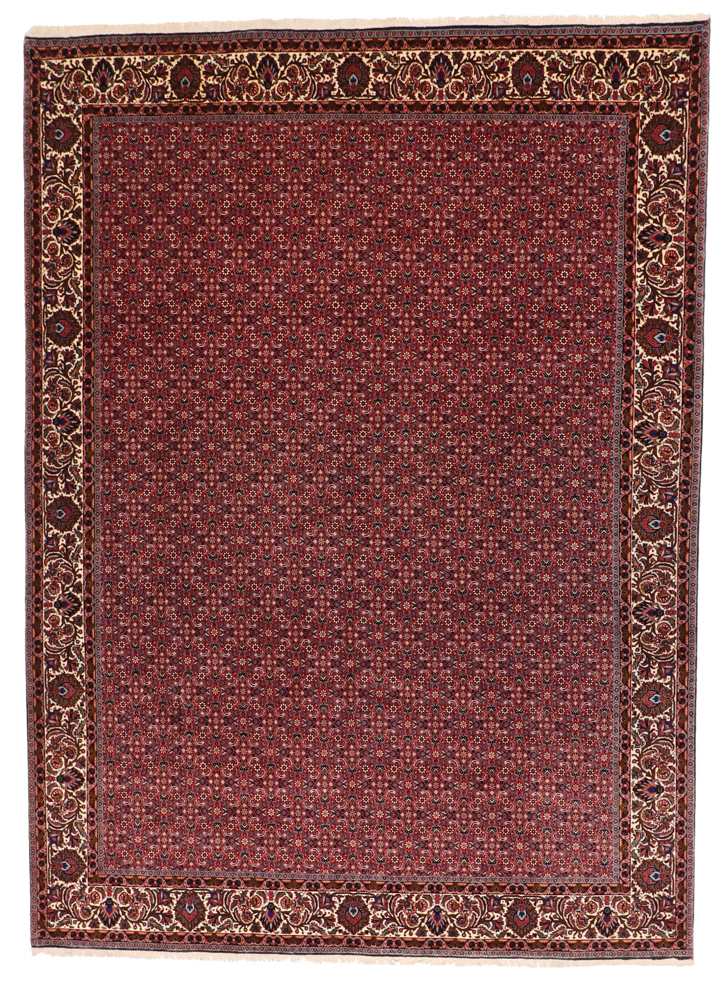 9x12 - Bijar Fine Geometric Rectangle - Hand Knotted Rug