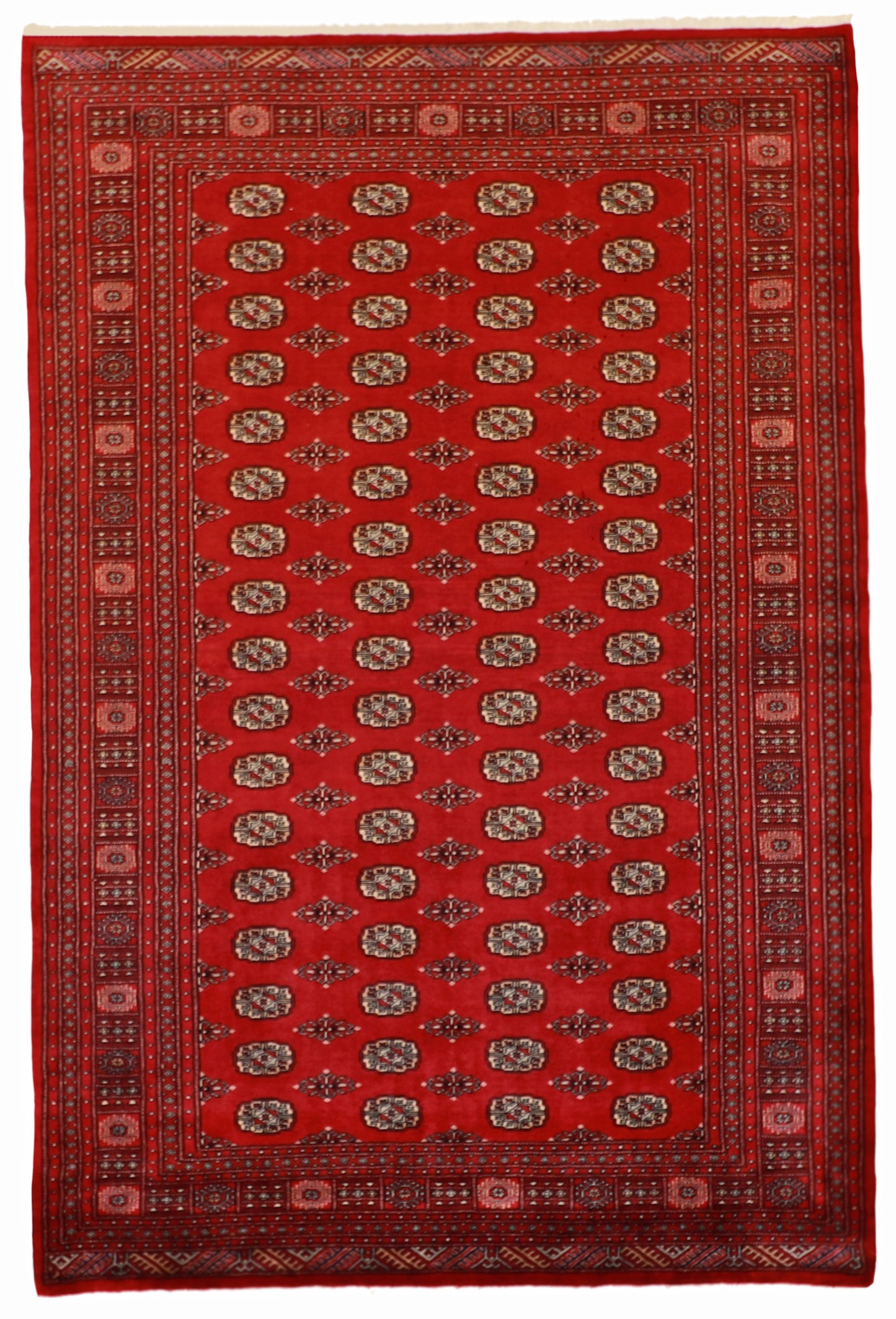 7x10 - Bokhara Fine/Wool All Over Rectangle - Hand Knotted Rug