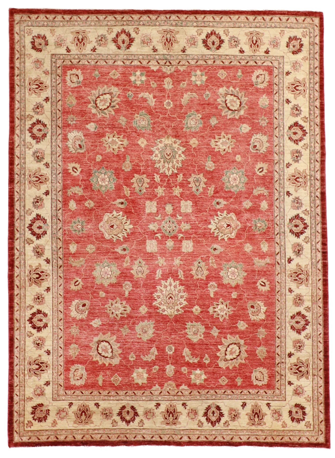 6x9 - Zeigler Fine All Over Rectangle - Hand Knotted Rug