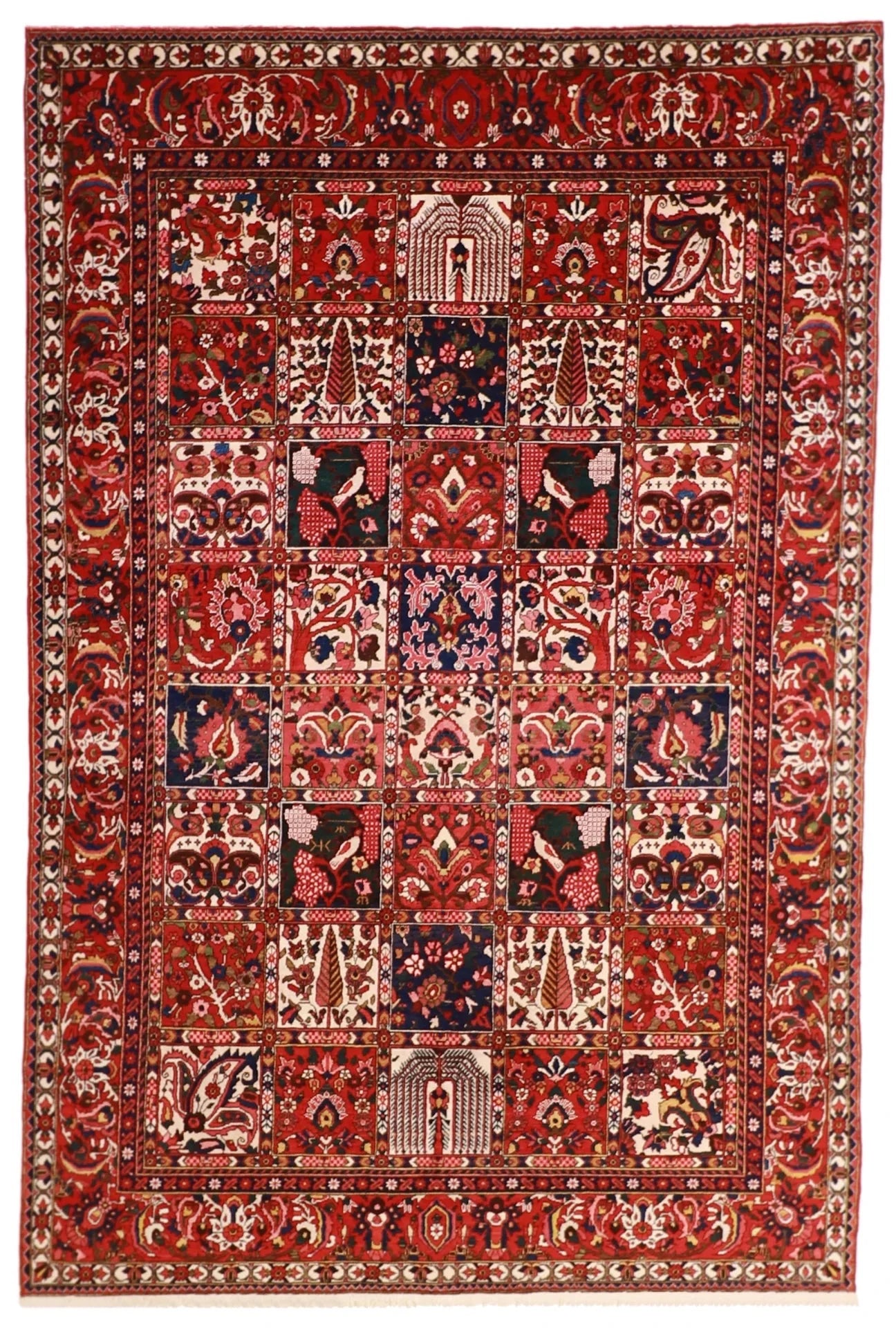 6x9 - Bakhtiarie Fine All Over Rectangle - Hand Knotted Rug