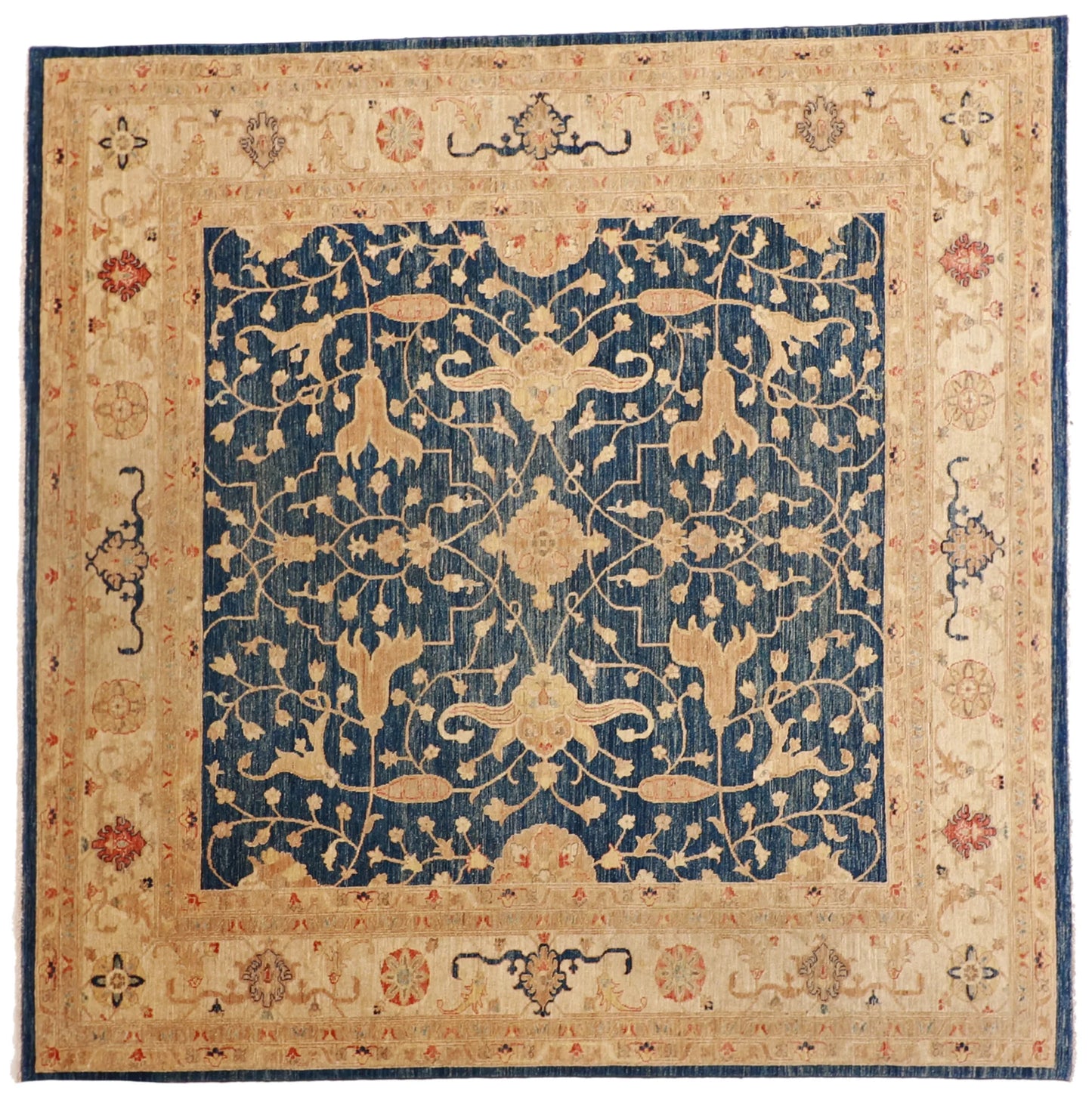 8x10 - Serapie Fine All Over Rectangle - Hand Knotted Rug